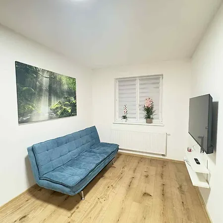 U Honzika アパート ソコロフ