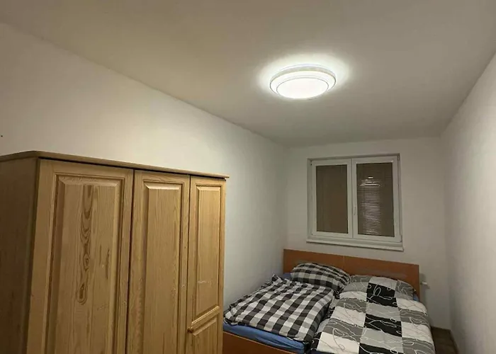 U Honzika アパート ソコロフ