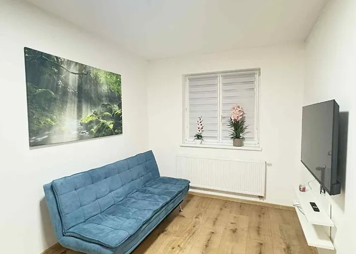 U Honzika アパート ソコロフ