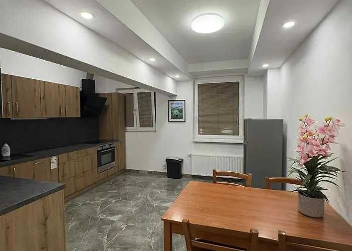 U Honzika ソコロフ