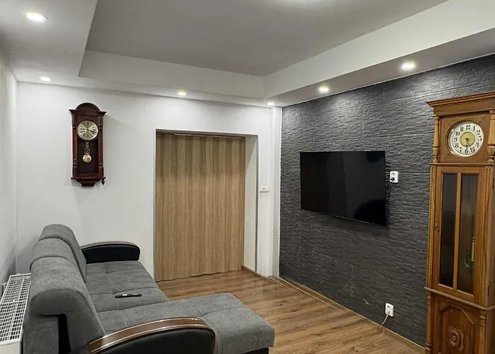 U Honzika アパート ソコロフ